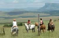 drakensberg horse trails