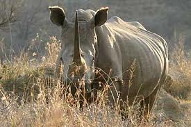 weenen game reserve